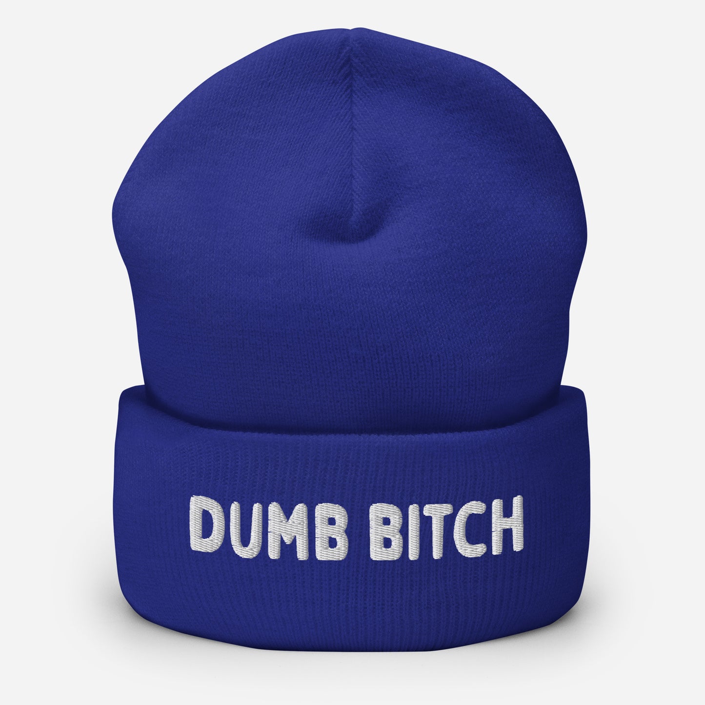 LetGoGetLaid Christmas gifts - a blue beanie with "Dumb Bitch" text